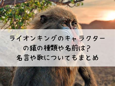 ライオンキングの猿の名前は？種類はマントヒヒ？名。